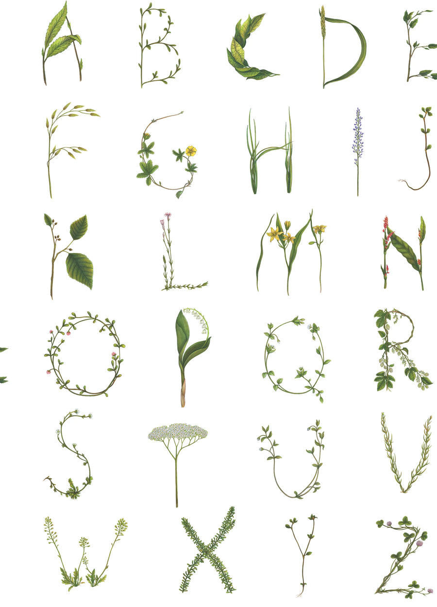 Floral Alphabet Mini English Mural Wallpaper