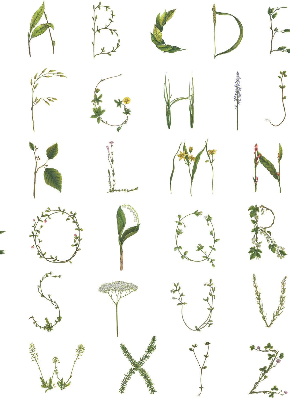 Floral Alphabet Mini English Mural Wallpaper - pure wallpaper artwork