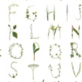 Floral Alphabet Mini English Mural Wallpaper - pure wallpaper artwork