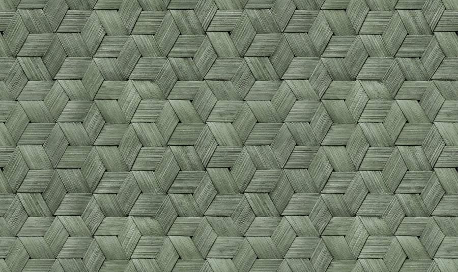 Small Birch Bark Braids, Forest Green Mural Wallpaper