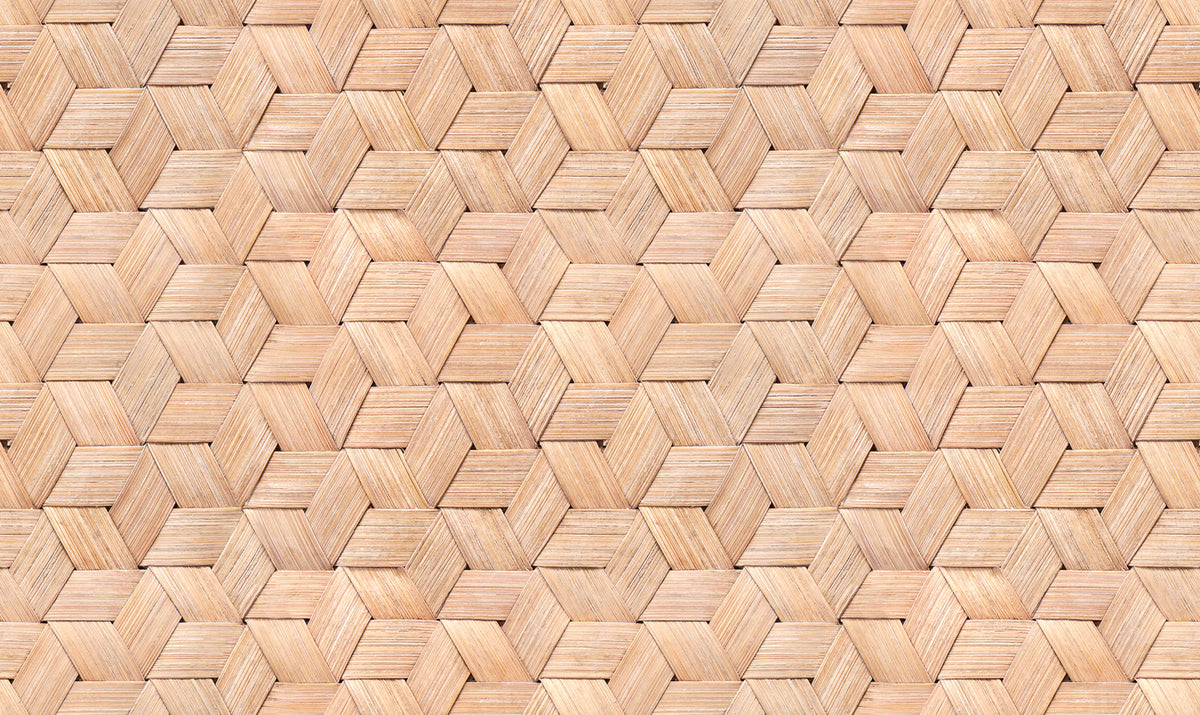 Small Birch Bark Braids, Nature Mural Wallpaper - pure wallpaper artwork