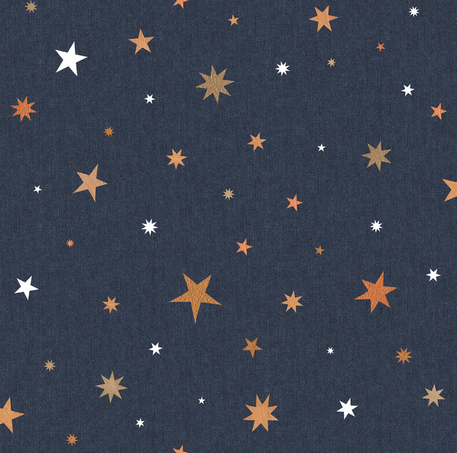 Stardust, Night Mural Wallpaper