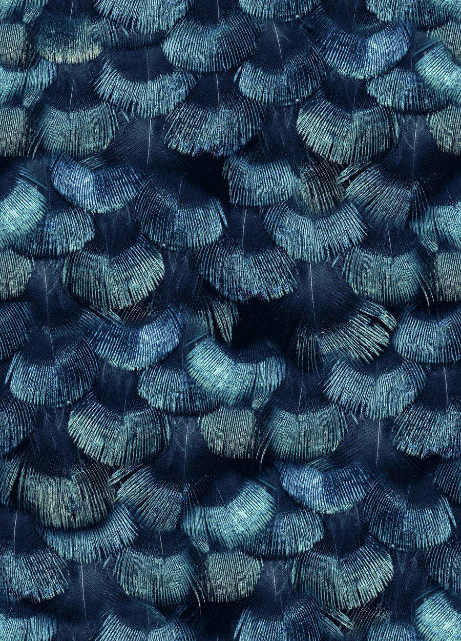Petite Peacock Plumage, Teal Mural Wallpaper