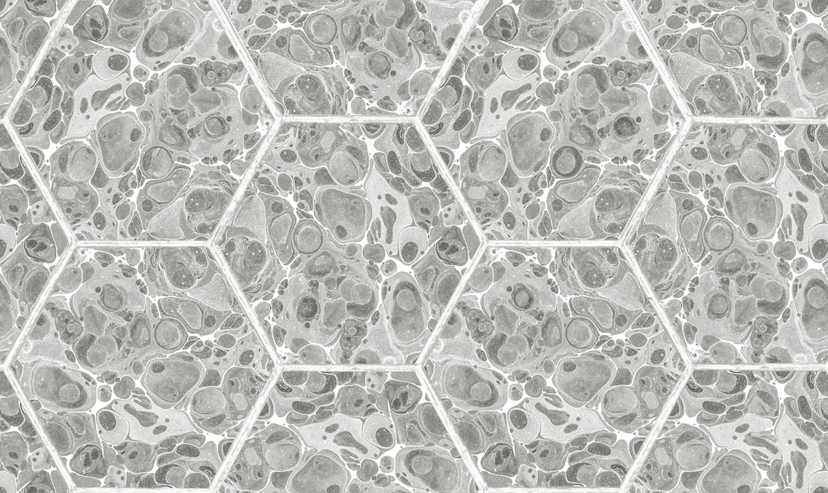 Marbled Hexagon Tiles, Gray Mural Wallpaper - pure wallpaper artwork