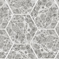 Marbled Hexagon Tiles, Gray Mural Wallpaper - pure wallpaper artwork