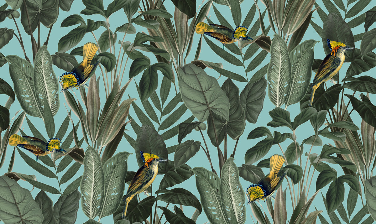 Birds of Paradise, Lush Green Mural Wallpaper - pure wallpaper artwork