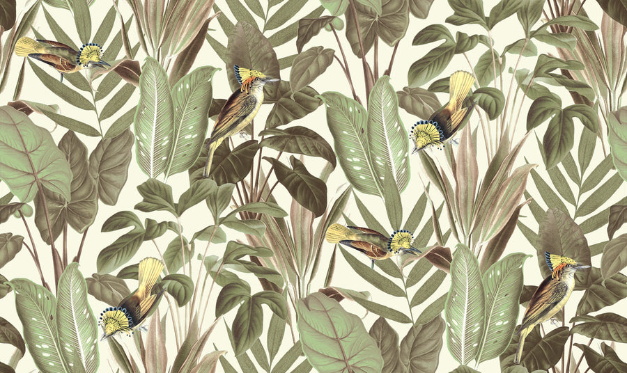 Birds of Paradise, Bright Dawn Mural Wallpaper