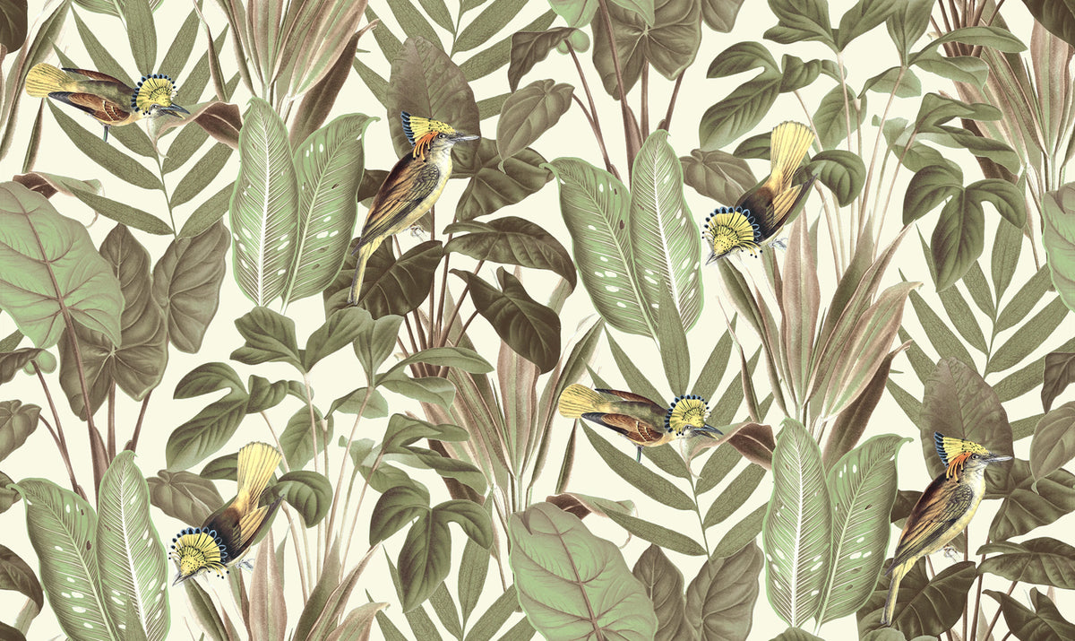 Birds of Paradise, Bright Dawn Mural Wallpaper - pure wallpaper artwork