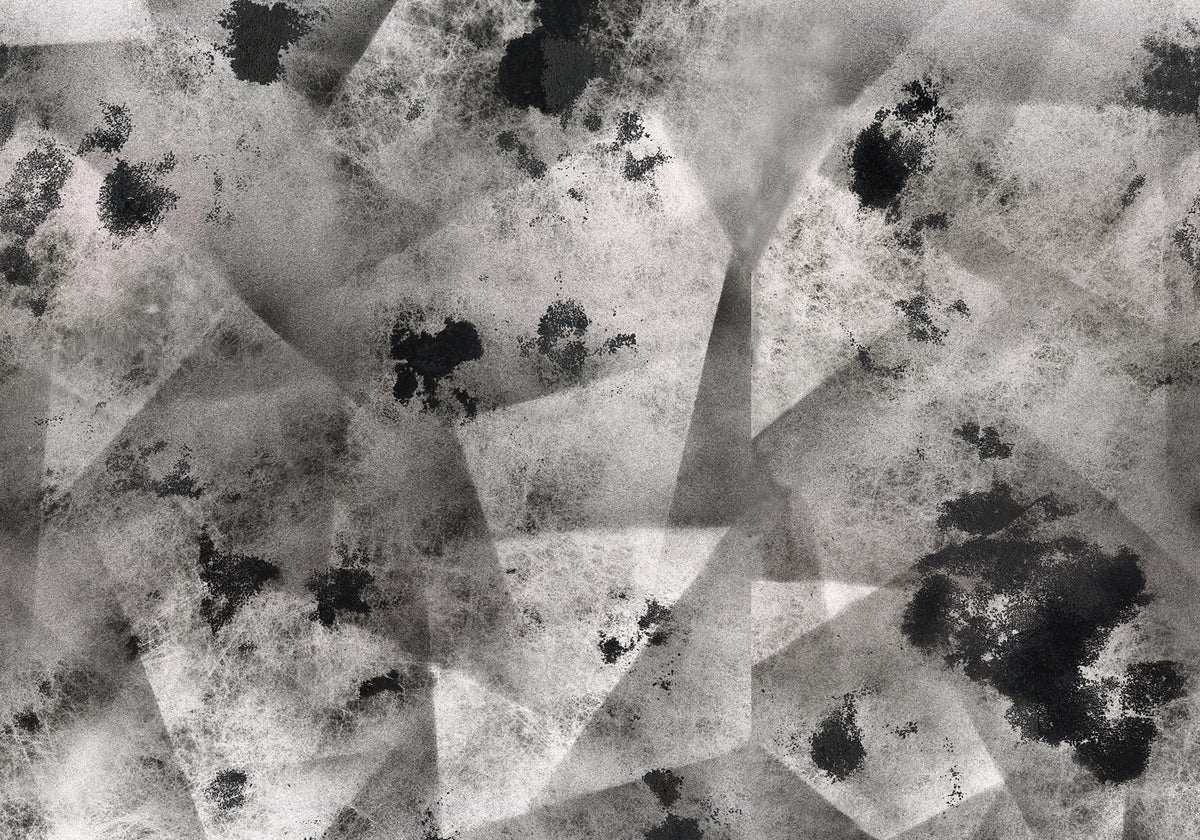 Ash Graphite Mural Wallpaper - pure wallpaper artwork
