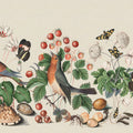 Flora and Fauna, Color Mural Wallpaper - pure wallpaper artwork