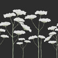 Dara, Midnight Mural Wallpaper - pure wallpaper artwork