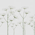 Dara, White Mural Wallpaper - pure wallpaper artwork