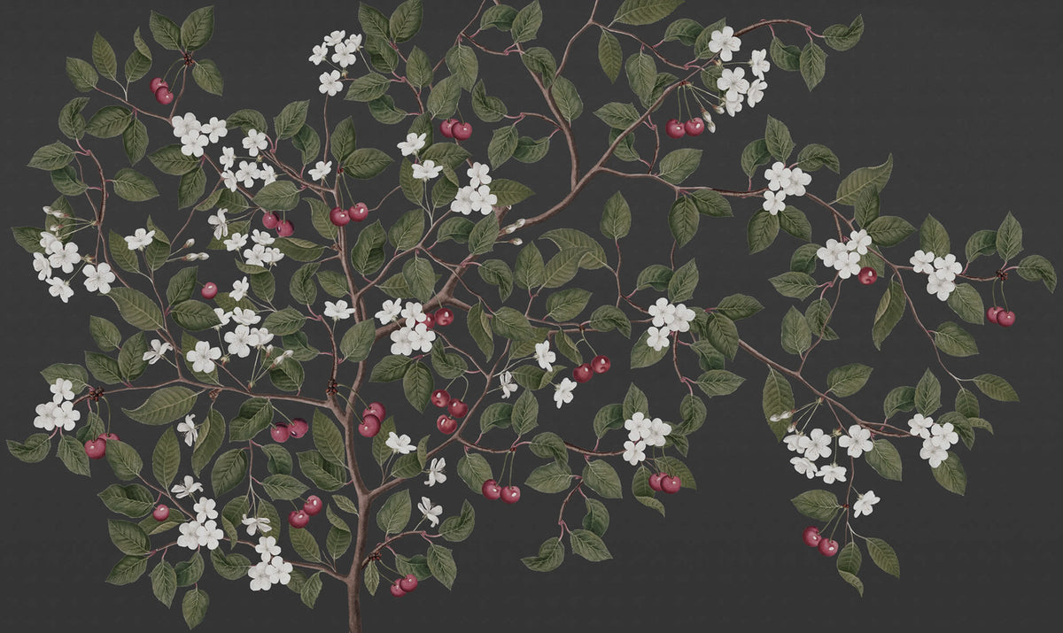 Cherries, Midnight Mural Wallpaper - pure wallpaper artwork