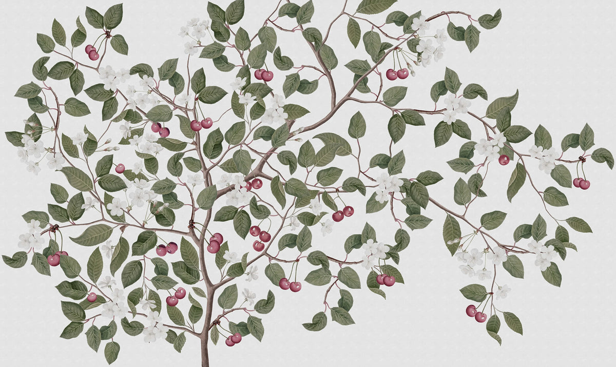 Cherries, White Mural Wallpaper - pure wallpaper artwork
