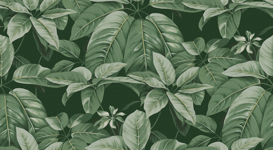 Chestnut, Green Mural Wallpaper