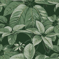 Chestnut, Green Mural Wallpaper - pure wallpaper artwork