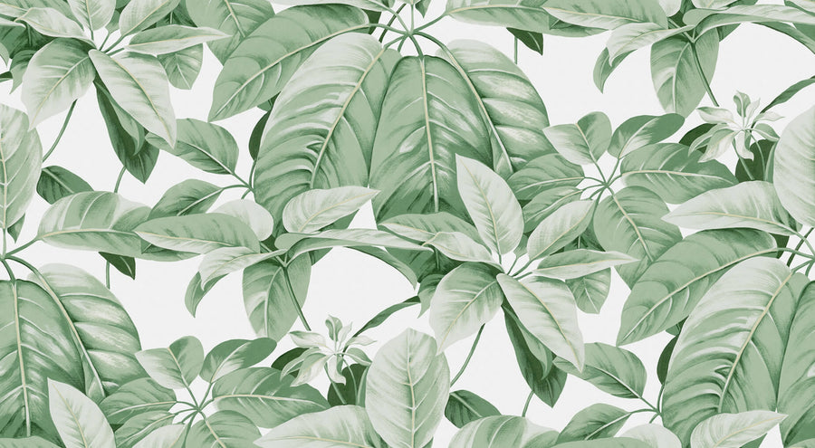 Chestnut, White Mural Wallpaper