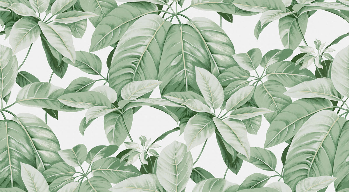 Chestnut, White Mural Wallpaper - pure wallpaper artwork