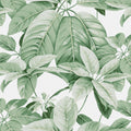 Chestnut, White Mural Wallpaper - pure wallpaper artwork