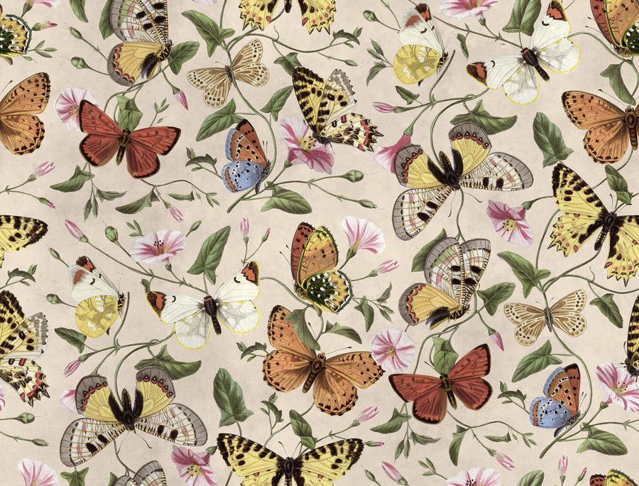 Butterflies, Color Mural Wallpaper