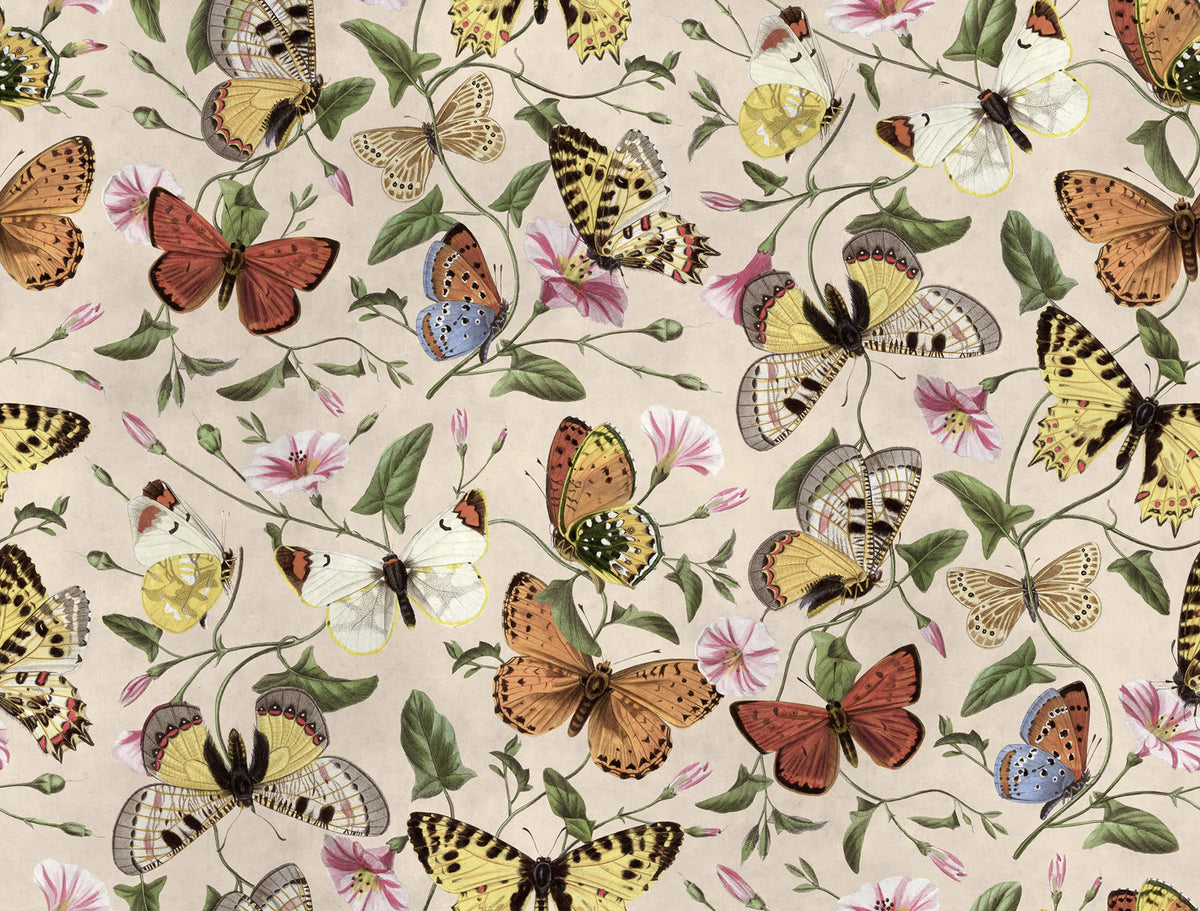 Butterflies, Color Mural Wallpaper - pure wallpaper artwork