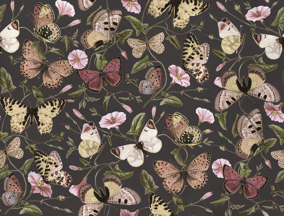 Butterflies, Midnight Mural Wallpaper - pure wallpaper artwork