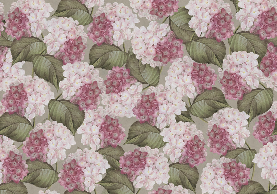 Hydrangea, Pink Mural Wallpaper