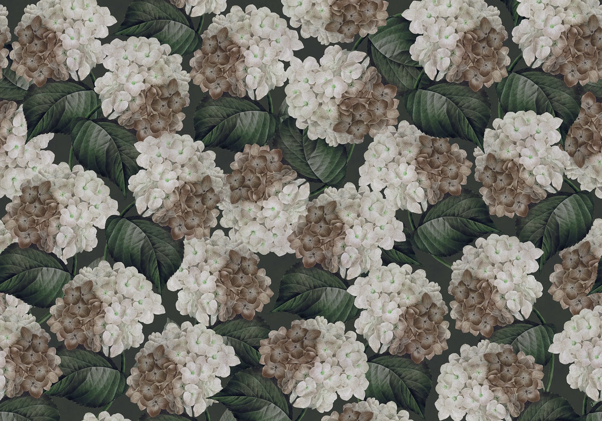 Hydrangea, Midnight Mural Wallpaper - pure wallpaper artwork