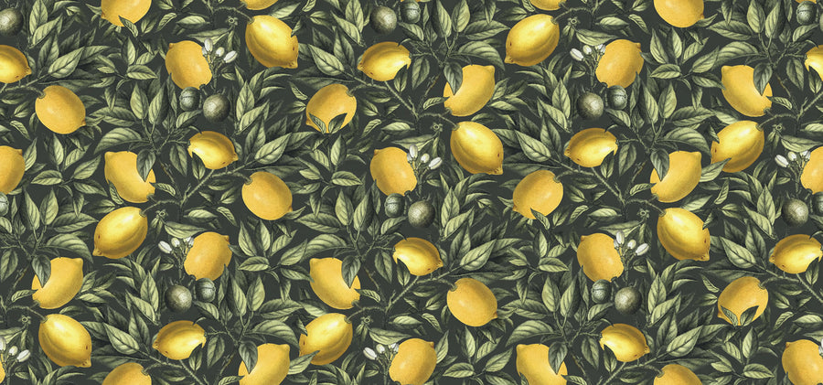 Lemon Tree, Dark Green Mural Wallpaper