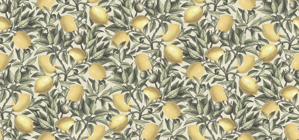 Lemon Tree, Light Green Mural Wallpaper - pure wallpaper artwork