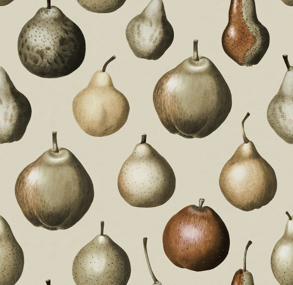 Vintage Pear, Vintage Mural Wallpaper - pure wallpaper artwork