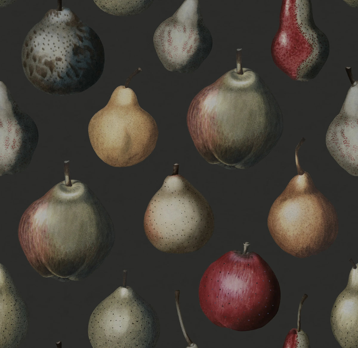 Vintage Pear, Midnight Mural Wallpaper - pure wallpaper artwork