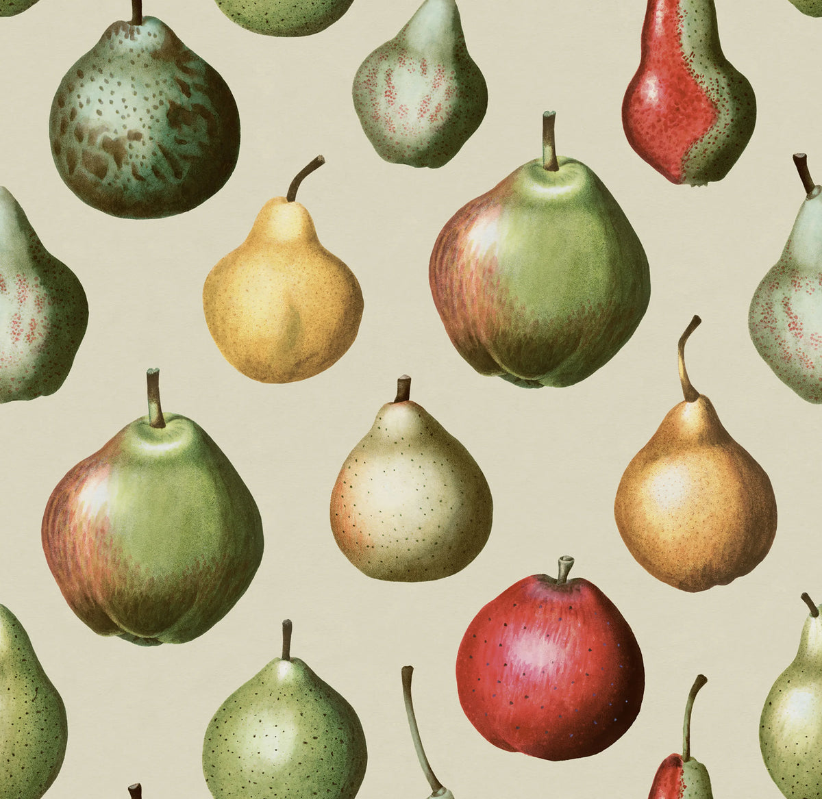 Vintage Pear, Happy Mural Wallpaper - pure wallpaper artwork