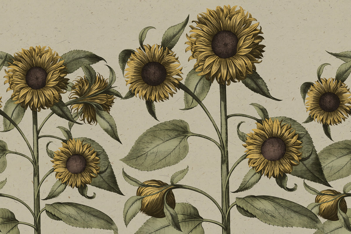 Sunflower, Yellow Mural Wallpaper - pure wallpaper artwork