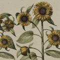 Sunflower, Yellow Mural Wallpaper - pure wallpaper artwork