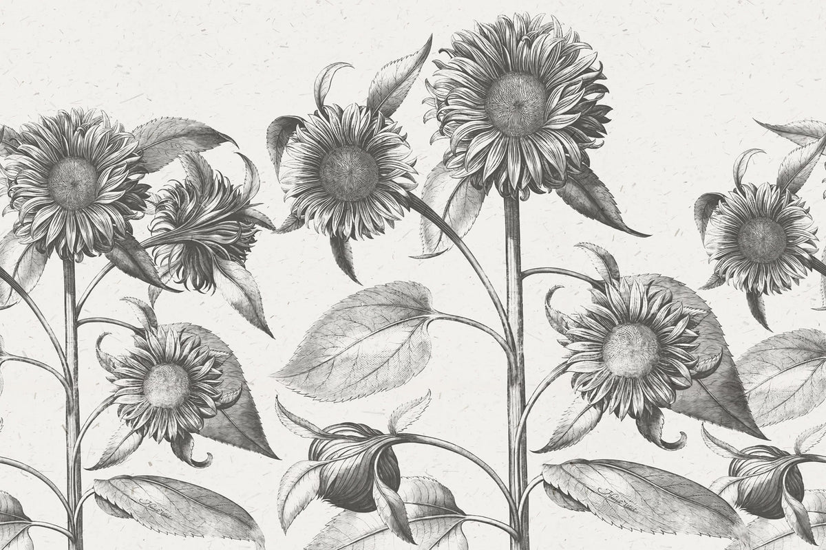 Sunflower, Beige Mural Wallpaper - pure wallpaper artwork