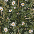 Rose Hip, Midnight Mural Wallpaper - pure wallpaper artwork