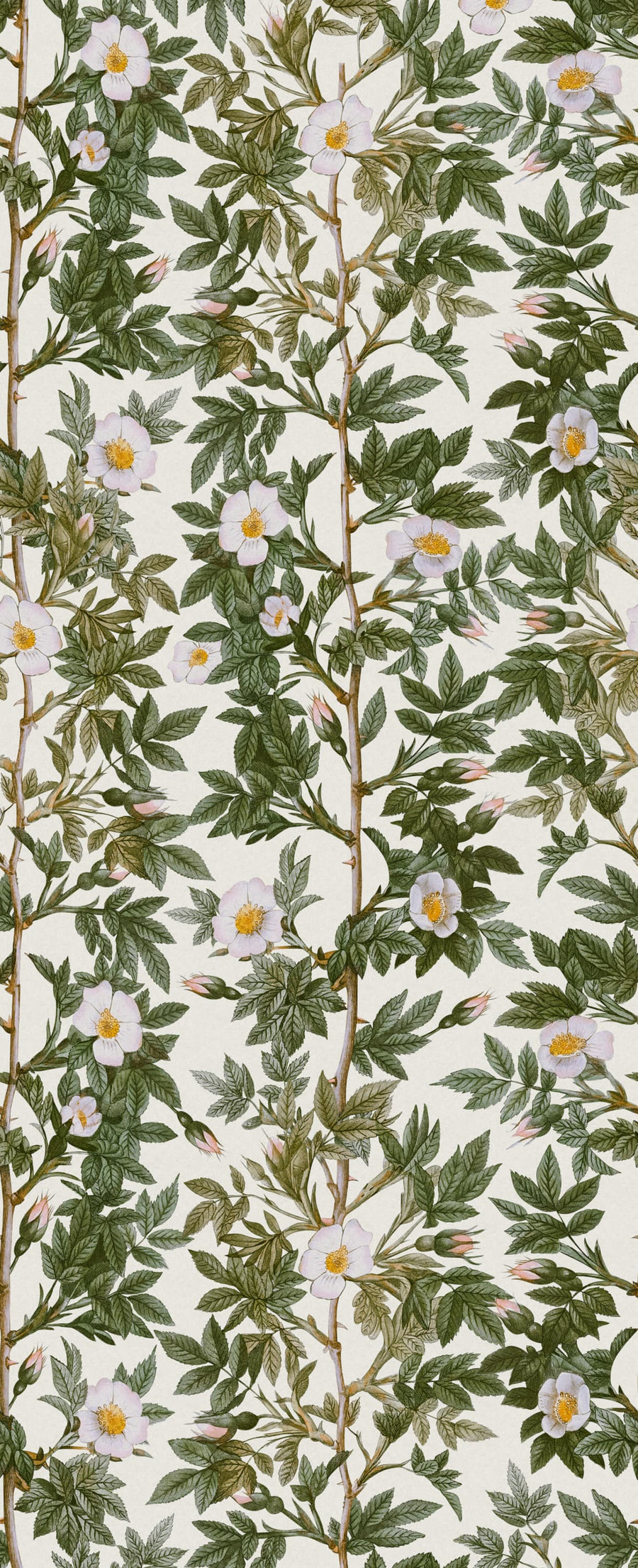 Rose Hip, Green Mural Wallpaper
