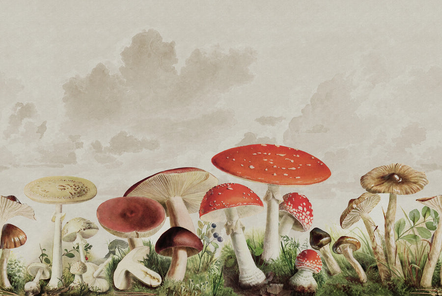 Mushrooms, Color Mural Wallpaper