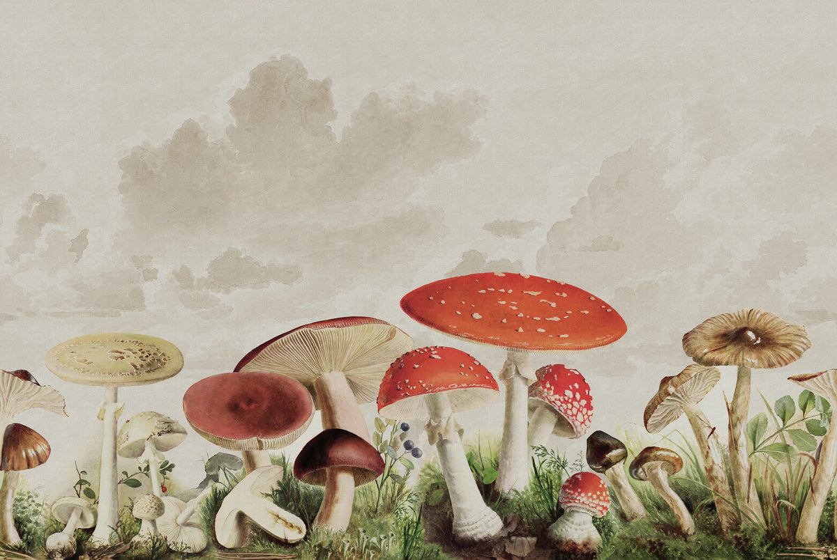 Mushrooms, Color Mural Wallpaper - pure wallpaper artwork