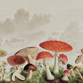 Mushrooms, Color Mural Wallpaper - pure wallpaper artwork