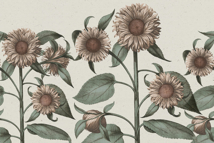 Sunflower, Peach Mural Wallpaper