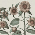 Sunflower, Peach Mural Wallpaper - pure wallpaper artwork