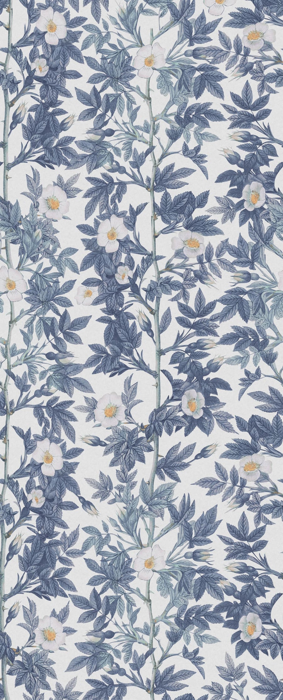 Rose Hip, Blue Mural Wallpaper