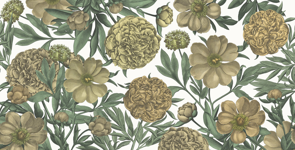 Peony Delight, Saffron Mural Wallpaper - pure wallpaper artwork
