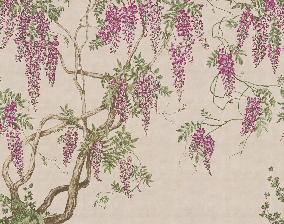 Wisteria Tree, Dusty Pink Mural Wallpaper - pure wallpaper artwork
