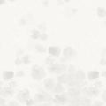 Faded Dreams, White Mural Wallpaper - pure wallpaper artwork