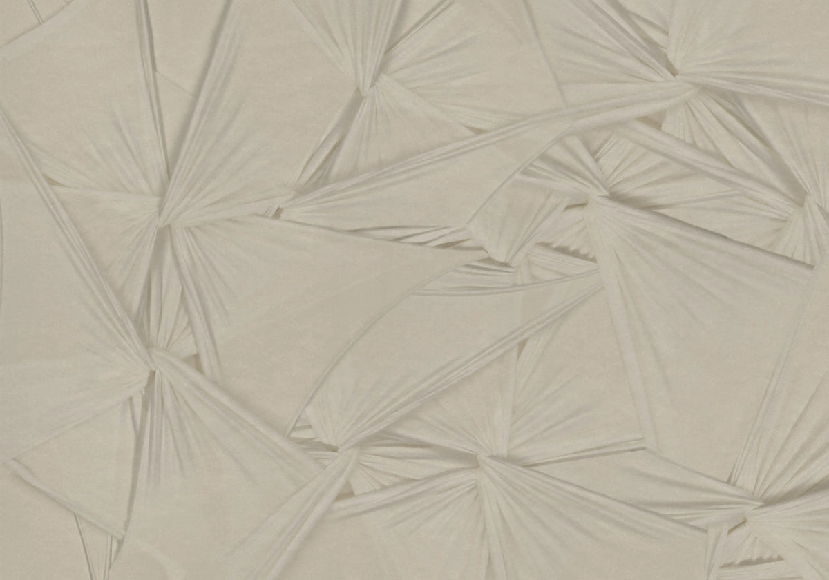 Silk Shadows, Beige Mural Wallpaper - pure wallpaper artwork