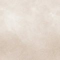 Wiggly Dots, Sand Mural Wallpaper - pure wallpaper artwork