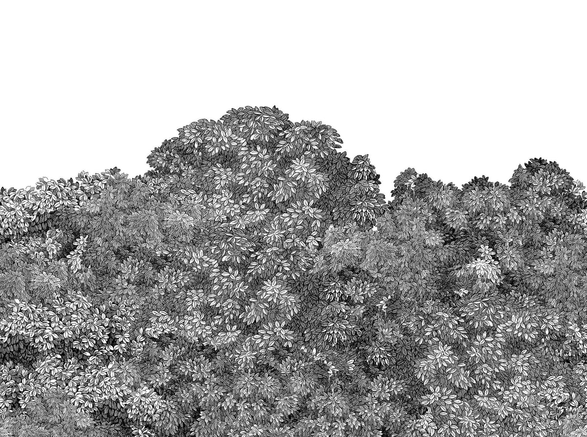 Belle Buisson, Black Mural Wallpaper - pure wallpaper artwork